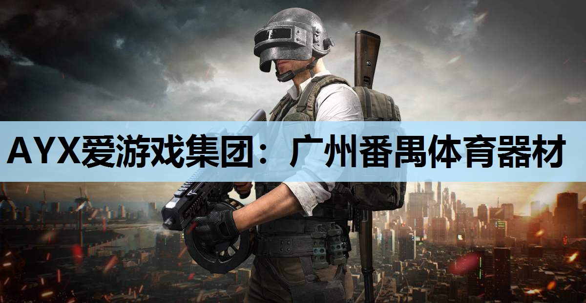 AYX爱游戏集团：广州番禺体育器材