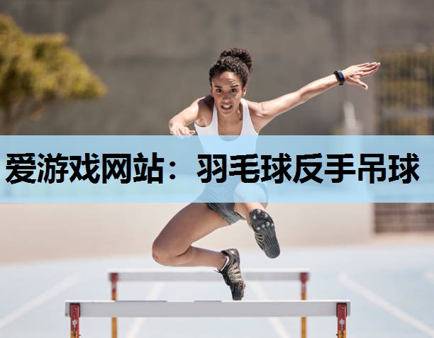 爱游戏网站：羽毛球反手吊球