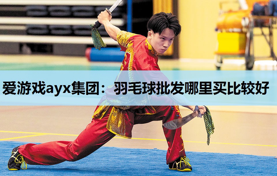 爱游戏ayx集团：羽毛球批发哪里买比较好