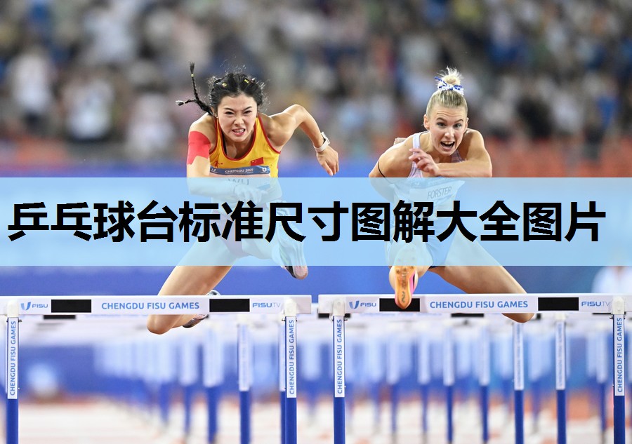 乒乓球台标准尺寸图解大全图片