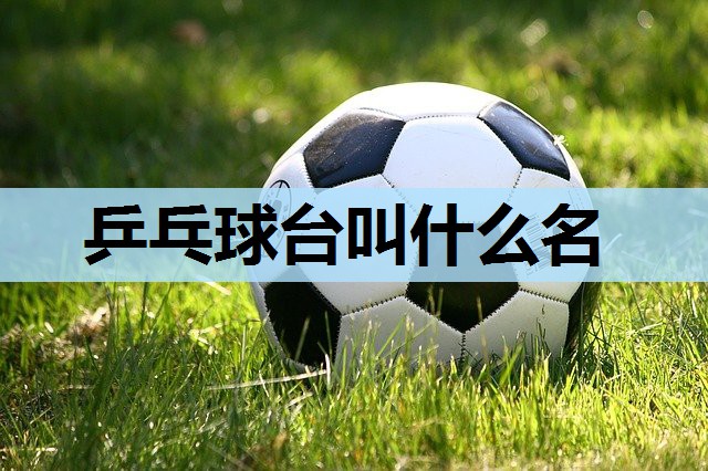 乒乓球台叫什么名 乒乓球台叫什么名