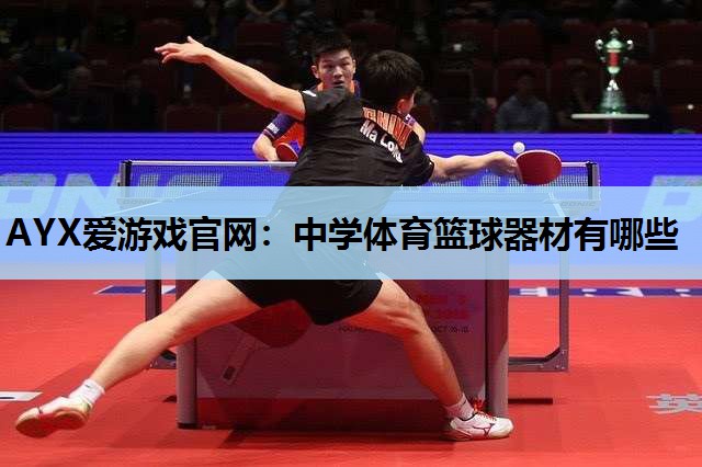 中学体育篮球器材有哪些 中学体育篮球器材有哪些