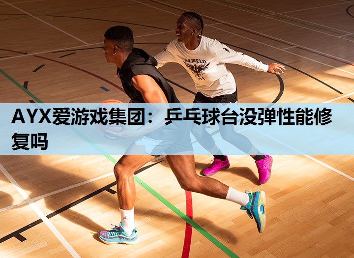 乒乓球台没弹性能修复吗 乒乓球台没弹性能修复吗