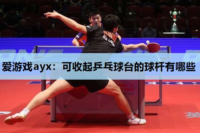可收起乒乓球台的球杆有哪些 可收起乒乓球台的球杆有哪些