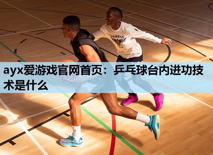乒乓球台内进功技术是什么 乒乓球台内进功技术是什么