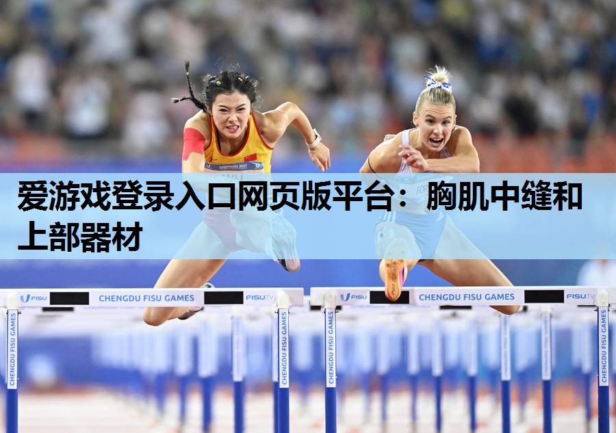 胸肌中缝和上部器材 胸肌中缝和上部器材