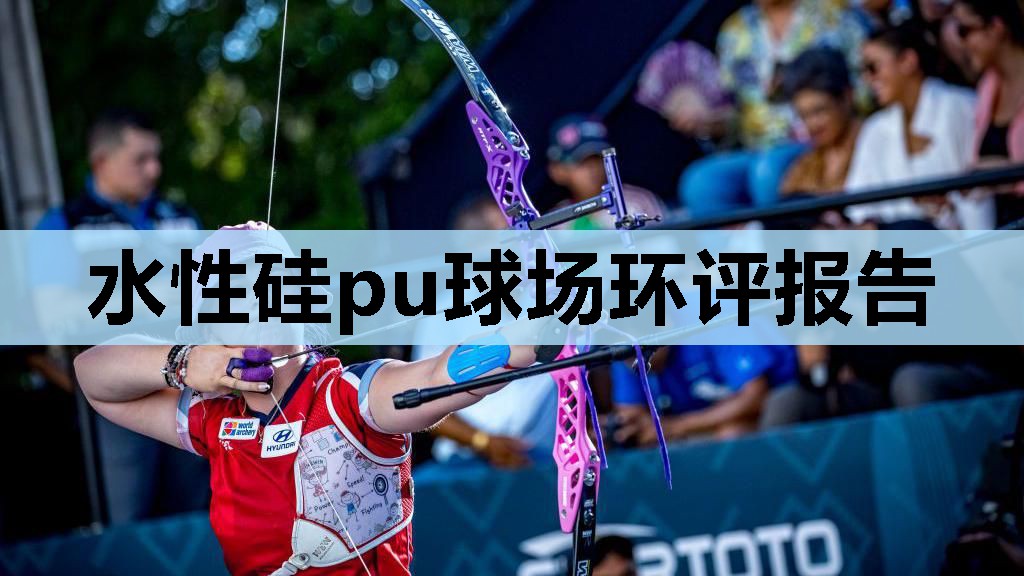 水性硅pu球场环评报告 水性硅pu球场环评报告