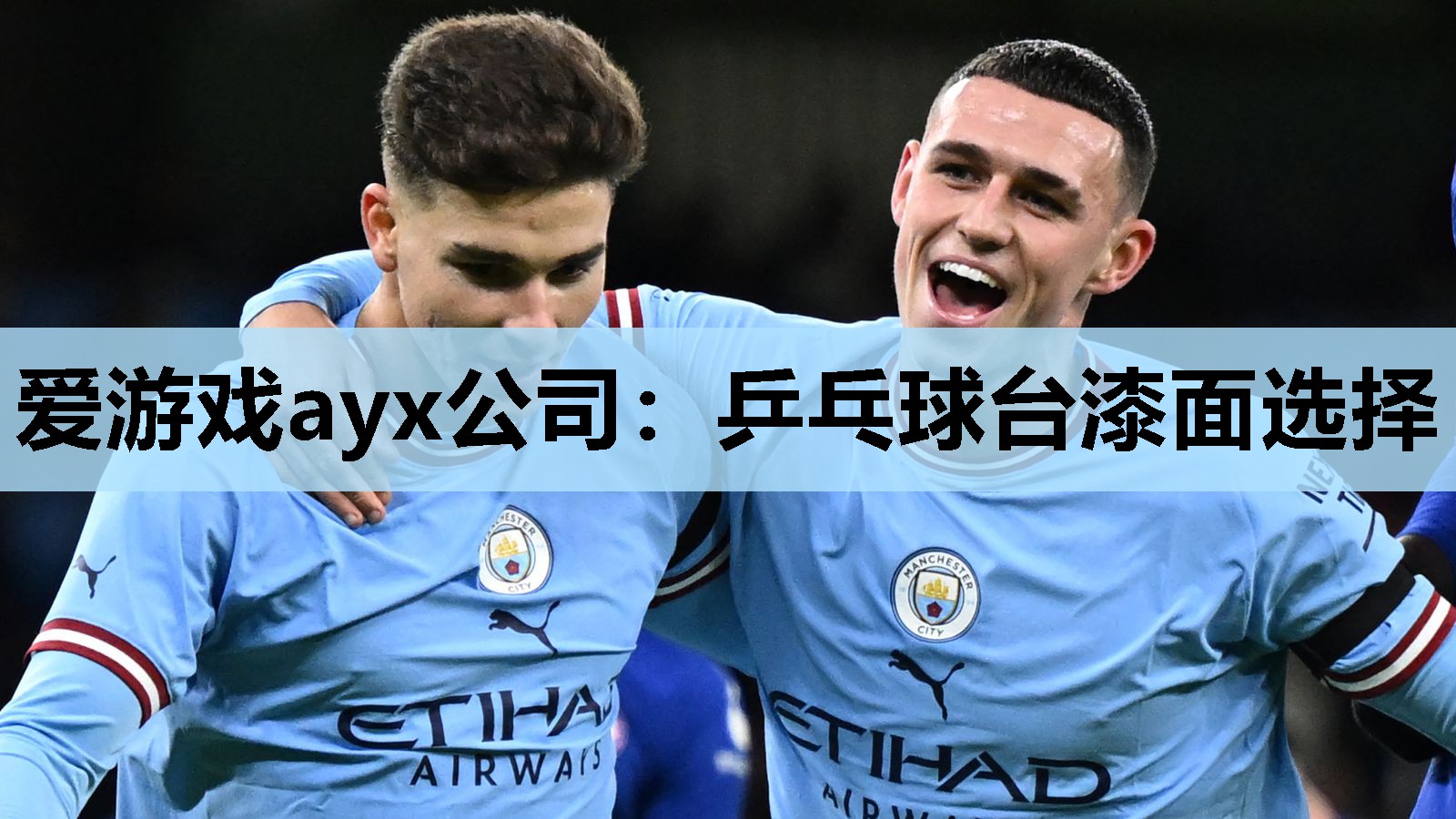 乒乓球台漆面选择 乒乓球台漆面选择