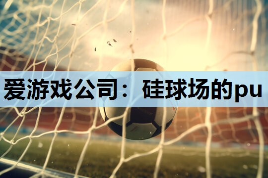硅球场的pu 硅球场的pu