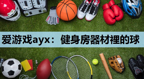 健身房器材裡的球 健身房器材裡的球