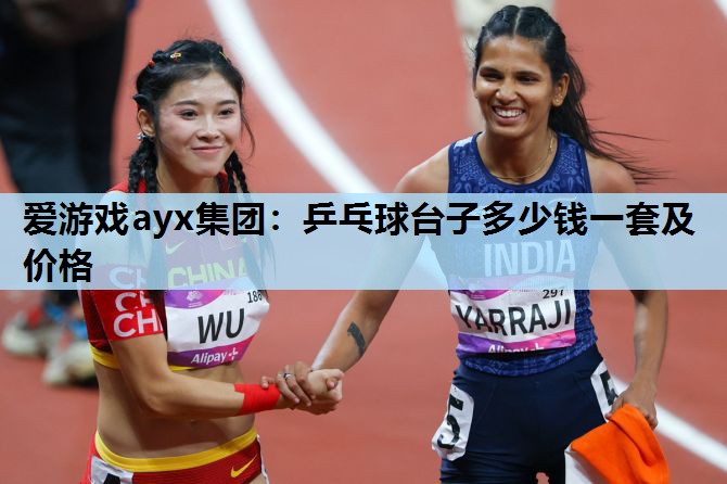 乒乓球台子多少钱一套及价格 乒乓球台子多少钱一套及价格