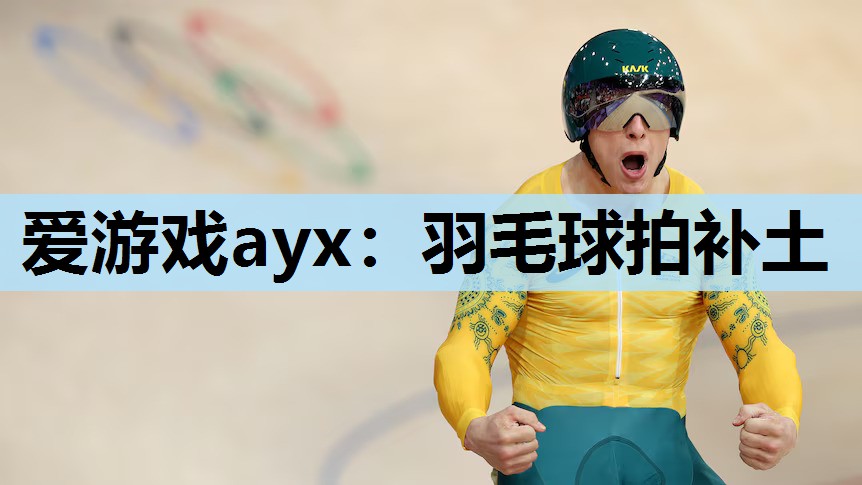 羽毛球拍补土 羽毛球拍补土