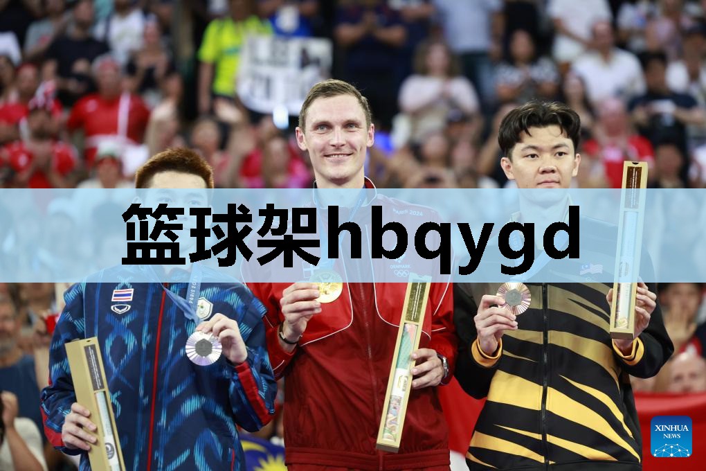 篮球架hbqygd 篮球架hbqygd