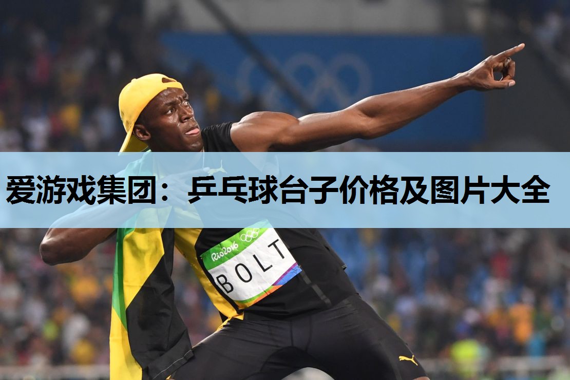 乒乓球台子价格及图片大全 乒乓球台子价格及图片大全