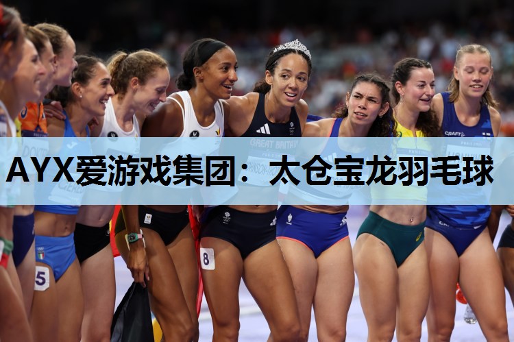 太仓宝龙羽毛球 太仓宝龙羽毛球