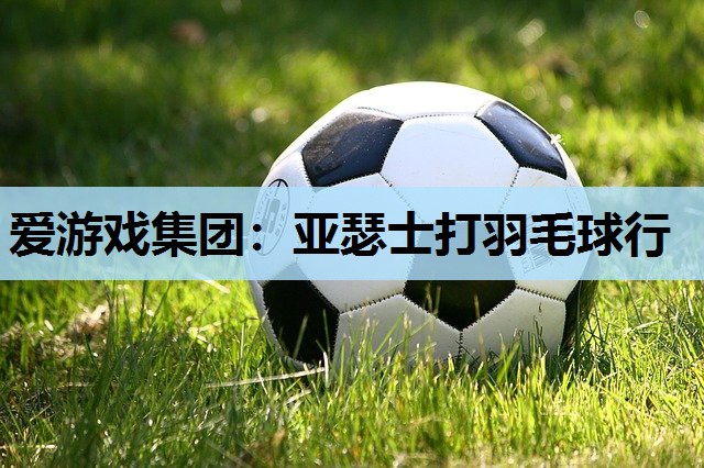 亚瑟士打羽毛球行 亚瑟士打羽毛球行