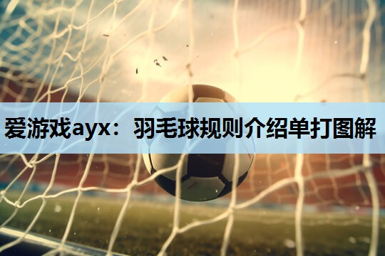 羽毛球规则介绍单打图解 羽毛球规则介绍单打图解