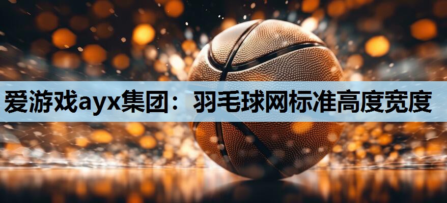 羽毛球网标准高度宽度 羽毛球网标准高度宽度