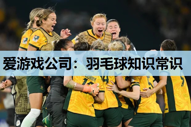 羽毛球知识常识 羽毛球知识常识