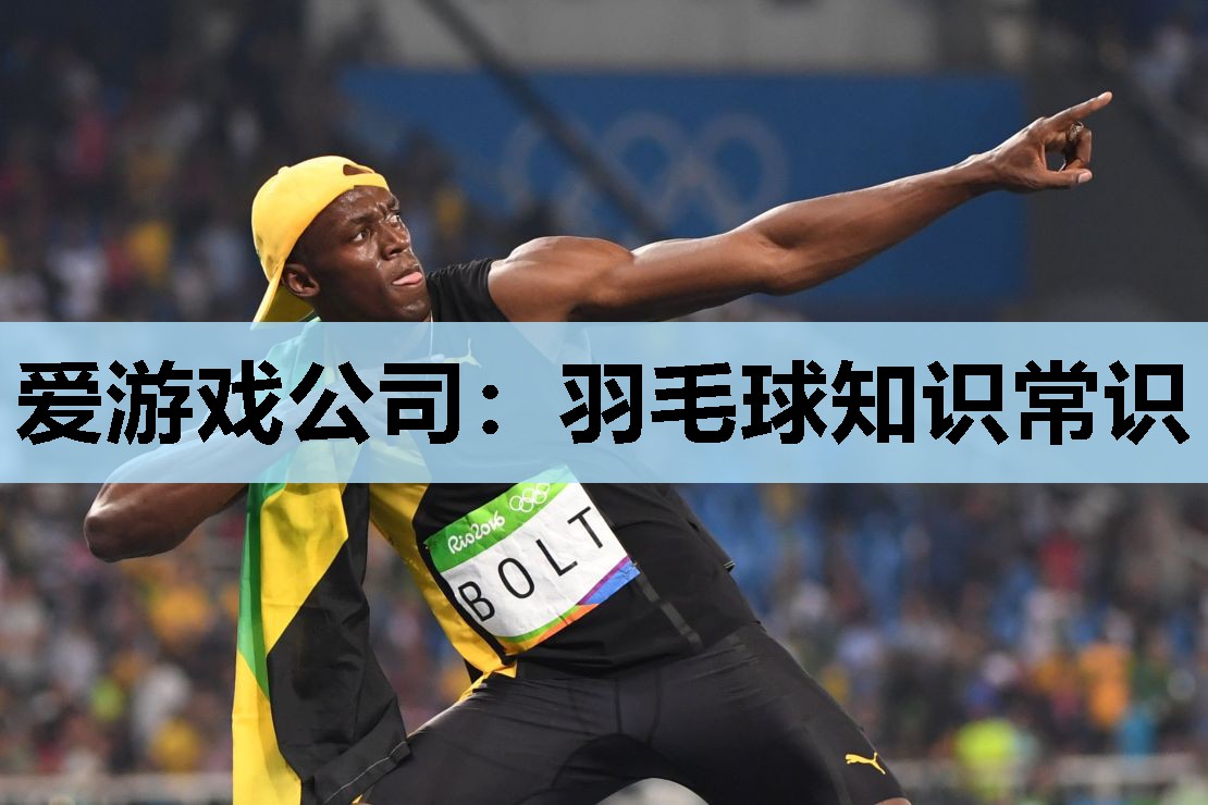 羽毛球知识常识 羽毛球知识常识
