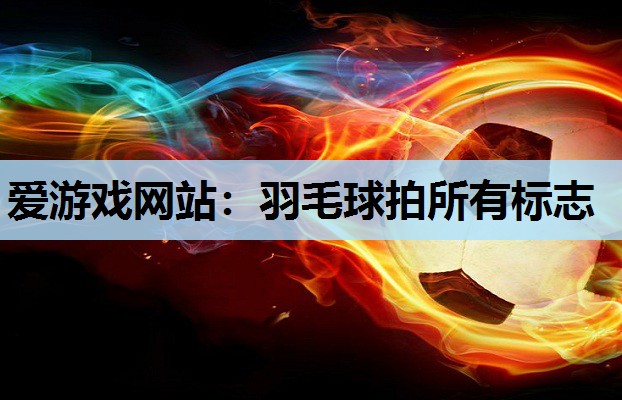 羽毛球拍所有标志 羽毛球拍所有标志