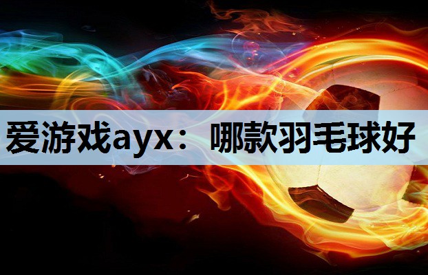 哪款羽毛球好 哪款羽毛球好