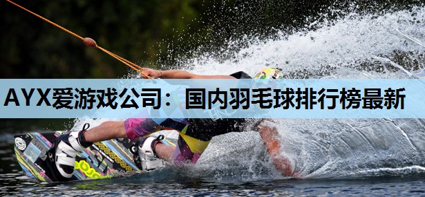 国内羽毛球排行榜最新 国内羽毛球排行榜最新