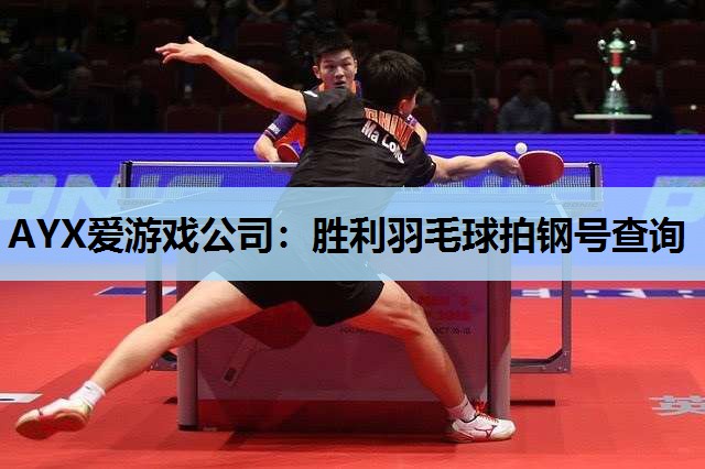胜利羽毛球拍钢号查询 胜利羽毛球拍钢号查询