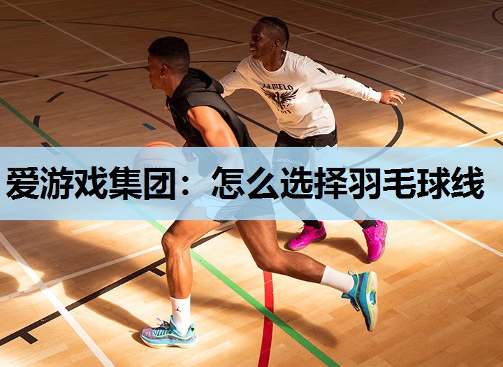 怎么选择羽毛球线 怎么选择羽毛球线