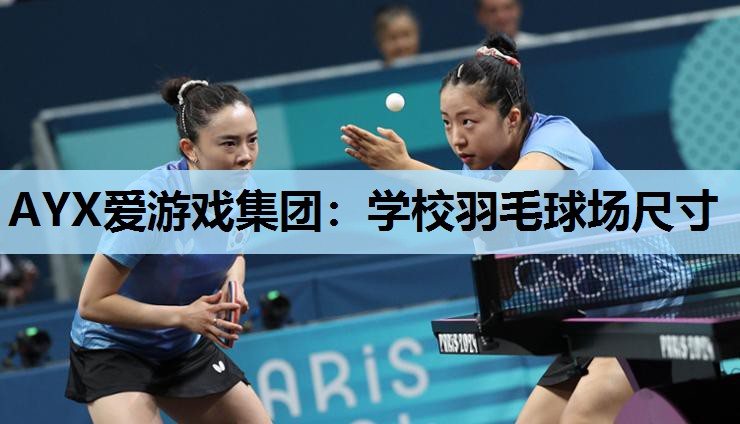 学校羽毛球场尺寸 学校羽毛球场尺寸