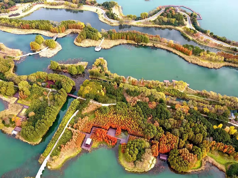 悟空体育官网 | WUKONG SPORTS-官方平台